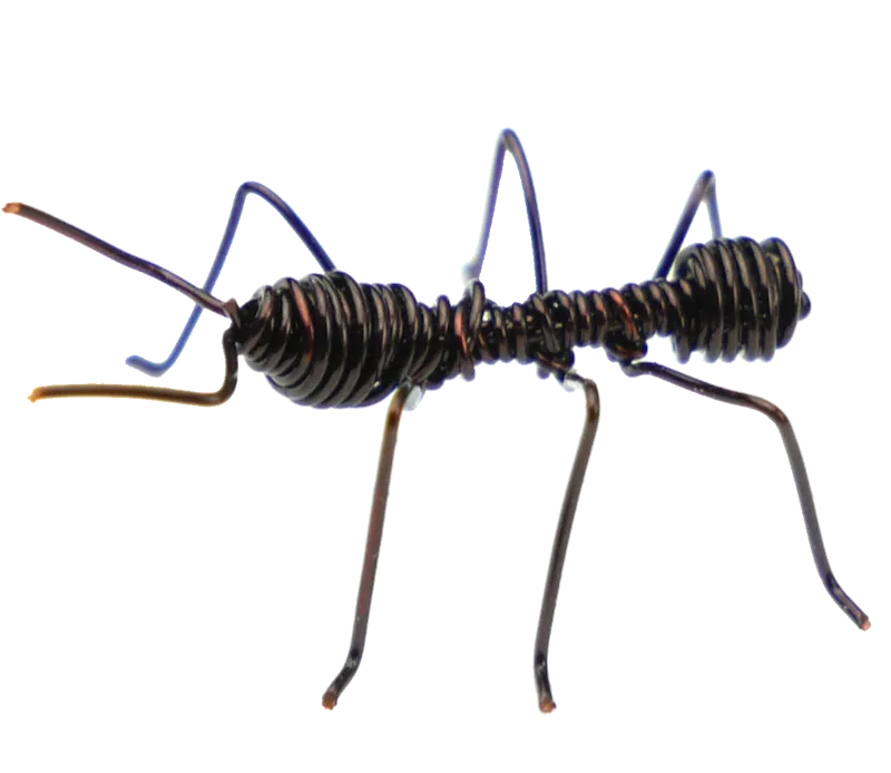 Hand-crafted wire ant by Dima Peters