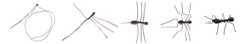 Wire ant creation stages