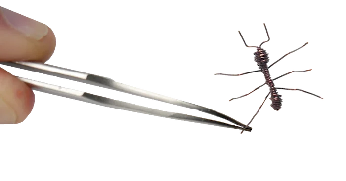 Wire Ant held in tweezers