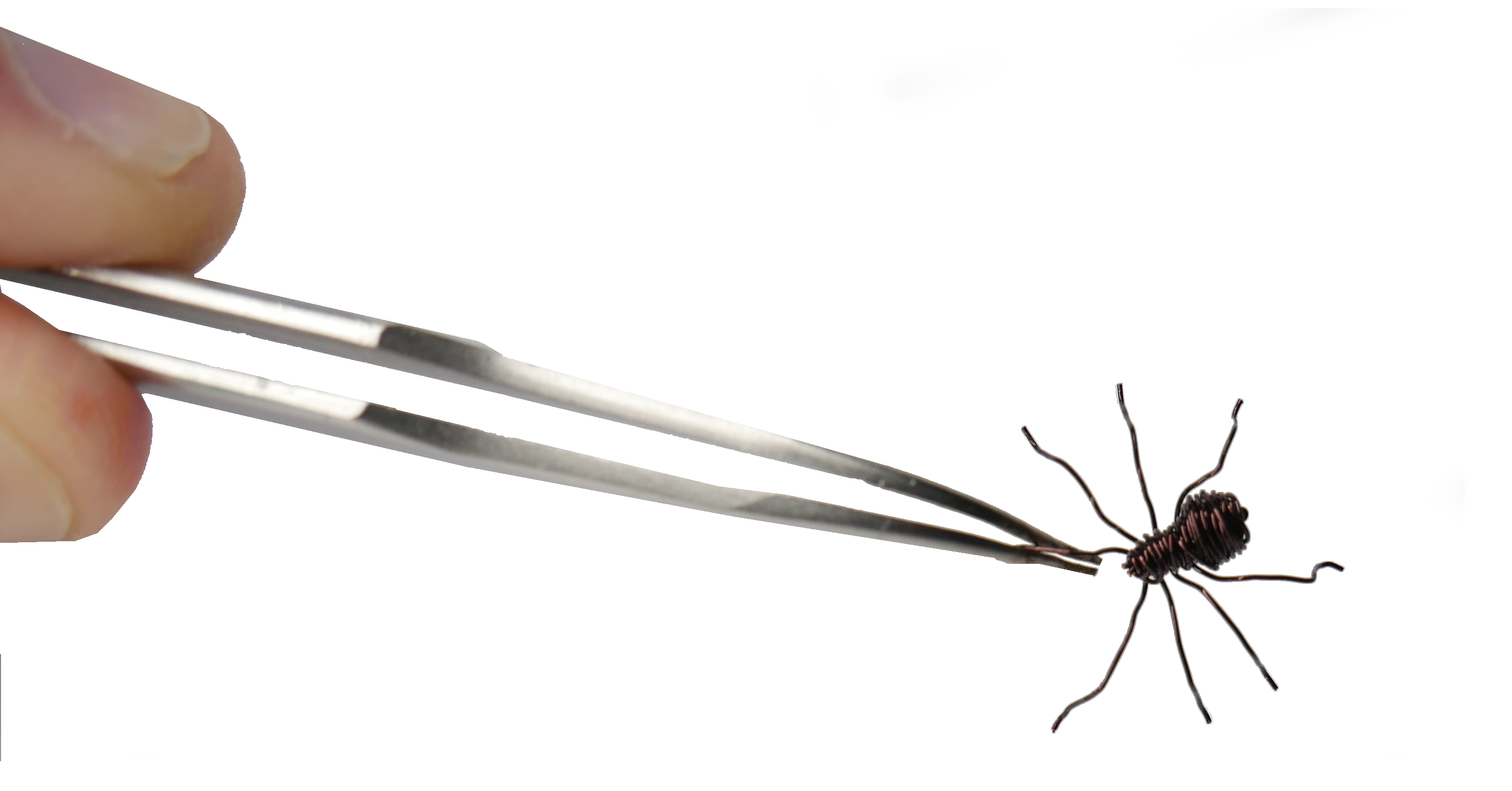 Wire spider size comparison