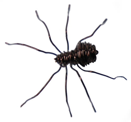 Spider