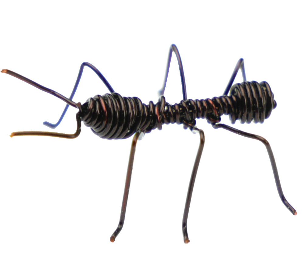 Wire Ant