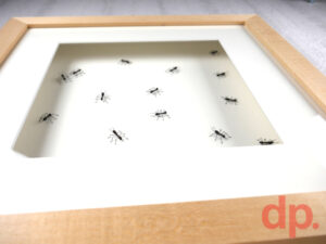 Hope (Negative Space)